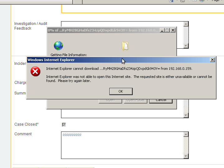 Internet Explorer Unable To Download Files